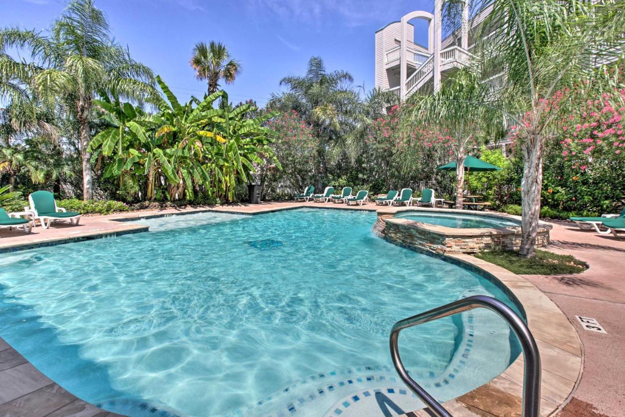 Galveston Condo With Oceanfront Views And 2 Pools 외부 사진